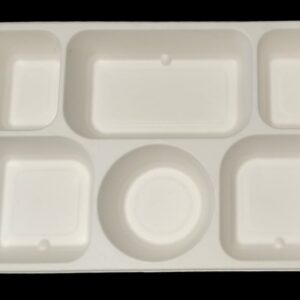 Sugarcane 6 Compartment plate image