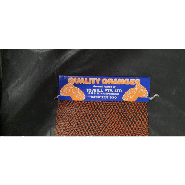 WhatsApp Image 2025-09-29 at 11.00.45-squared