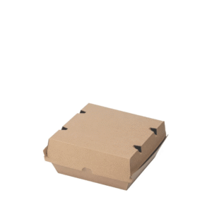 Brown Dinner Box
