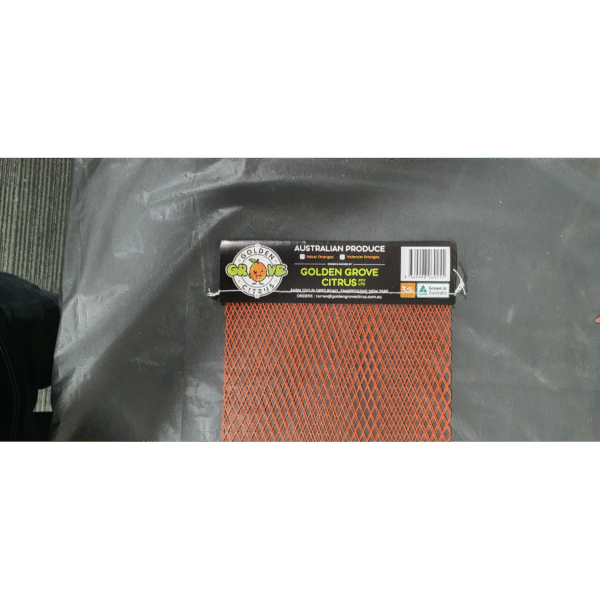 WhatsApp Image 2025-09-29 at 11.00.45(1)-squared