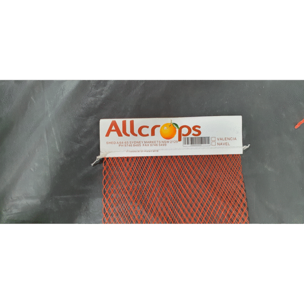 WhatsApp Image 2025-09-29 at 11.00.46-squared